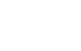 the Lexington logo